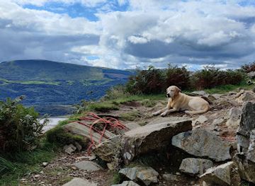 united-kingdom/snowdonia-national-park/landmark/snowdonia-adventure-activities