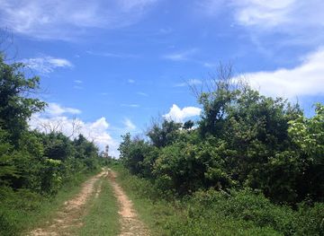 jamaica/santa-cruz-mountains/landmark/morant-point-lighthouse