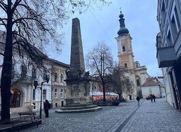 romania/cluj-napoca/landmark/museum-square