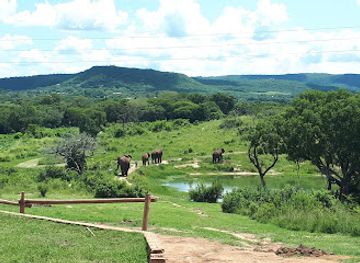 south-africa/lowveld/landmark/elephant-whispers