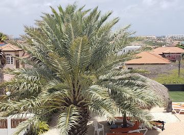 aruba/noord/landmark/villa-royale-aruba