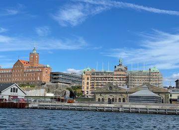 sweden/gothenburg-archipelago/landmark/paddan-sightseeing