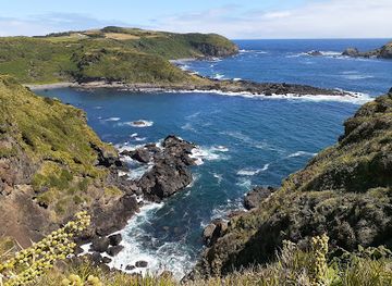 chile/chiloe-archipelago/landmark/natural-heritage-site-islotes-de-punihuil