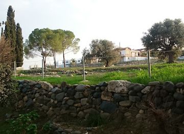 cyprus/machairas-mountains/landmark/archaeological-site-of-tamassos