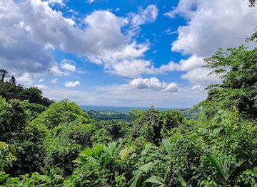 costa-rica/manuel-antonio/landmark/rainmaker