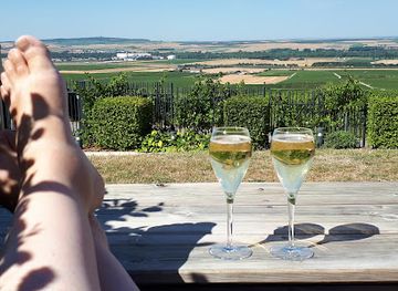 france/champagne/landmark/lighthouse-verzenay-in-champagne-museum-of-the-vine