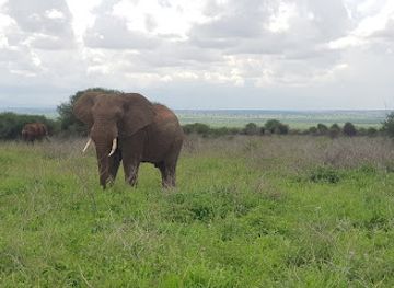 tanzania/tarangire-national-park/landmark/mkungunero-game-reserve