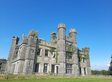 ireland/county-cavan/landmark/castle-saunderson