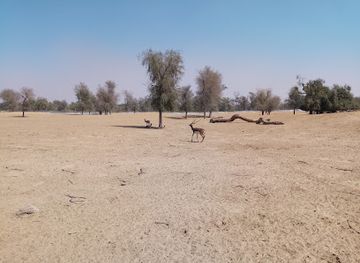 pakistan/cholistan-desert/landmark/lal-suhanra-national-park