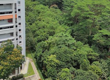 singapore/clementi/landmark/maju-forest