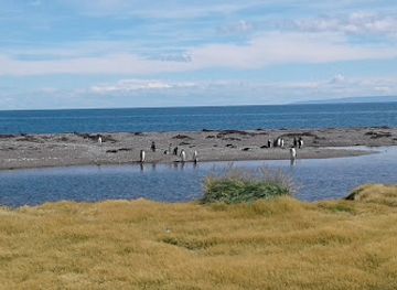 chile/tierra-del-fuego/landmark/parque-pinguino-rey