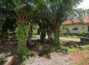 indonesia/lampung/landmark/wa-miswan