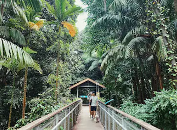 Memories of the Sentosa Monorail