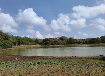 colombia/insular-region/landmark/laguna-big-pond