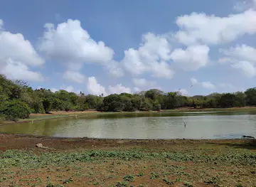 Laguna Big Pond