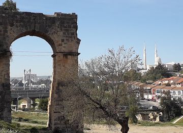 algeria/constantine/zouaghi/landmark/l-aqueduc-romain