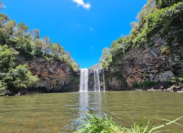 australia/new-england/landmark/dorrigo-national-park