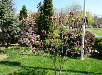 bulgaria/sofia-valley/landmark/holy-trinity-park