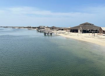 tunisia/djerba-island/landmark/greater-flamingo-island
