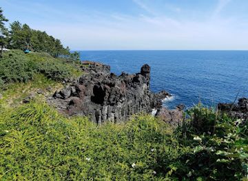 south-korea/jeju-city/jungmun/landmark/jungmun-daepo-columnar-joints