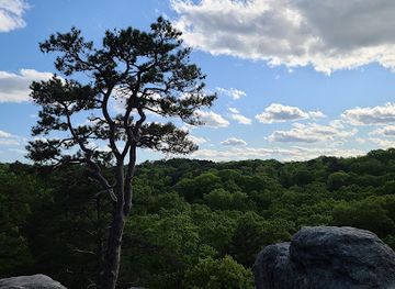 missouri/table-rock-lake/landmark/pickle-springs-natural-area