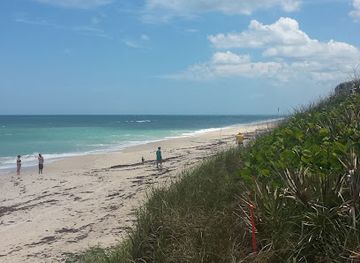 florida/space-coast/landmark/maritime-hammock-sanctuary