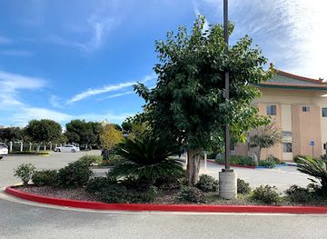 california/irvine/landmark/pao-fa-buddhist-temple