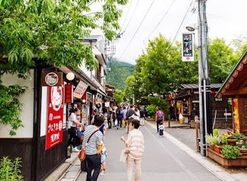 japan/yufuin/landmark/yunotsubo-kaido