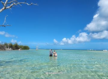 florida/florida-keys/landmark/great-white-heron-national-wildlife-refuge