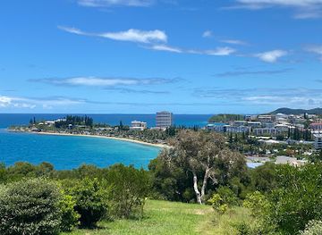 new-caledonia/canala/landmark/tipico-latino