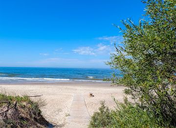 lithuania/palanga-beach/landmark/karkles-papludimys