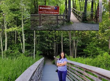 new-jersey/great-swamp-national-wildlife-refuge/landmark/great-swamp