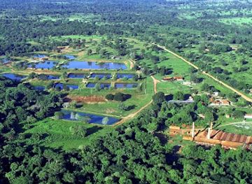 brazil/pantanal/landmark/pantanal-experiencia