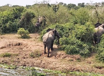 uganda/rwenzori-mountains-national-park/landmark/bujo-safaris