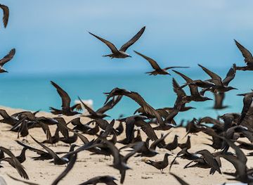mayotte/mamoudzou/landmark/gepomay