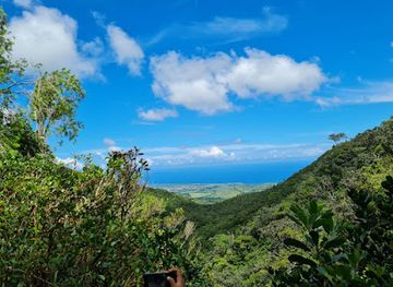 mauritius/savanne/landmark/cascade-500-pieds