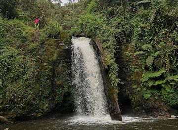 kenya/coastal-region/landmark/mount-kenya-national-park