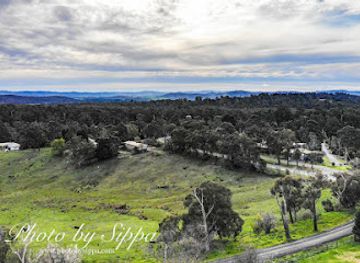 australia/yarra-valley/landmark/badger-creek-blueberry-winery