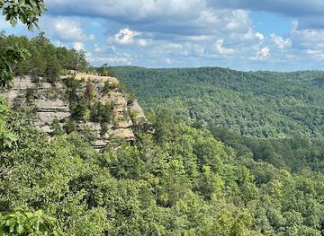 kentucky/cumberland-plateau/landmark/red-river-gorge-geological-area
