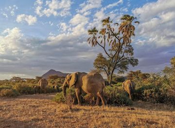 kenya/amboseli-national-park/landmark/samburu-national-reserve