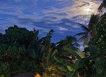 philippines/siargao/landmark/spotted-pig-cafe