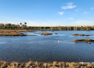 california/huntington-beach/bolsa-chica-state-beach/landmark/bolsa-chica-wetlands-west-trailhead