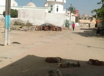senegal/saint-louis/landmark/grande-mosquee-de-balacoss