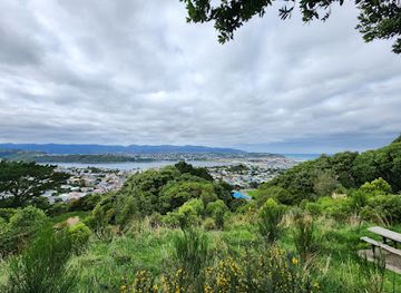 new-zealand/wellington/mount-victoria/landmark/mt-victoria-reserve-walking-paths
