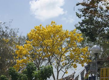 philippines/northern-mindanao/landmark/ereccion-de-pueblo