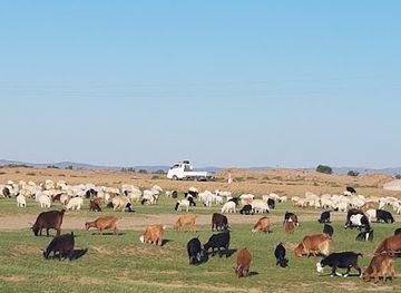 mongolia/eastern-steppe/landmark/aryapala-temple-meditation-center