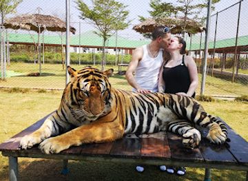 thailand/western-thailand/landmark/tiger-world-thailand