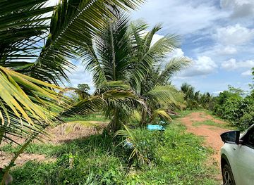 cambodia/kampot-province/landmark/cambodian-village-kampot