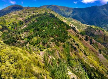 jamaica/santa-cruz-mountains/landmark/cinchona-botanical-gardens-ja