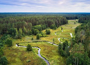 lithuania/dzukija-national-park/landmark/dziackagirio-zackagirio-pazintinis-takas